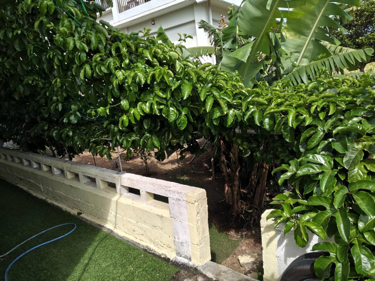 宮古島ゲストハウス　マウイ Miyakojima  Kültér fotó
